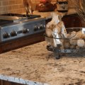 Are kitchen countertops expensive?